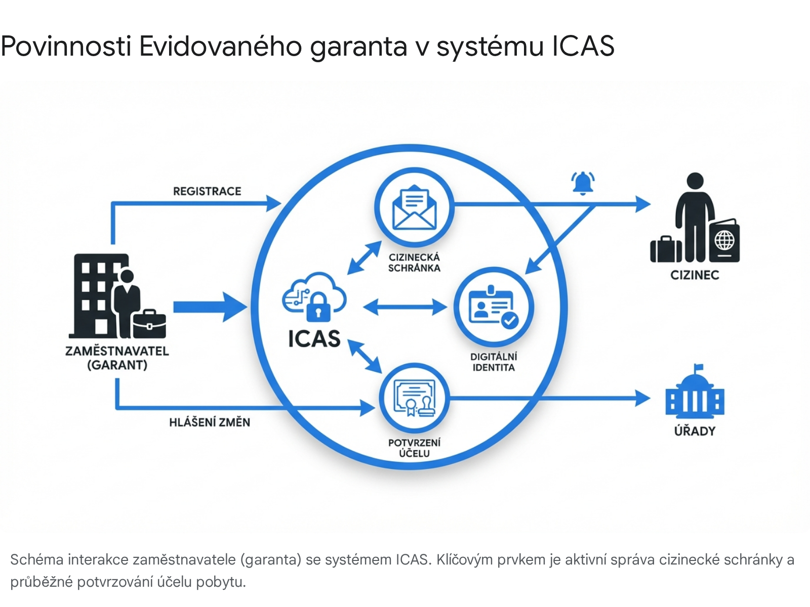 Infographic